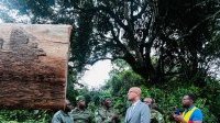 Forêt : le ministre Maurice Ntossui Allogo intensifie les contrôles sur le terrain
