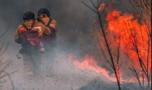 Les incendies incontrôlés vont augmenter de 50% d’ici à 2100, avertissent des experts