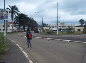 Oyem&nbsp;: Deux jeunes dealers arrêtés avec 12 réglettes de cannabis en provenance de Guinée équatoriale